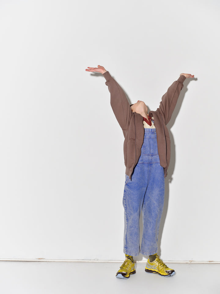 Zipped Hoodie - Falcon